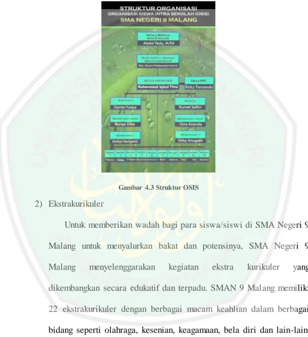 Gambar  4.3 Struktur OSIS 