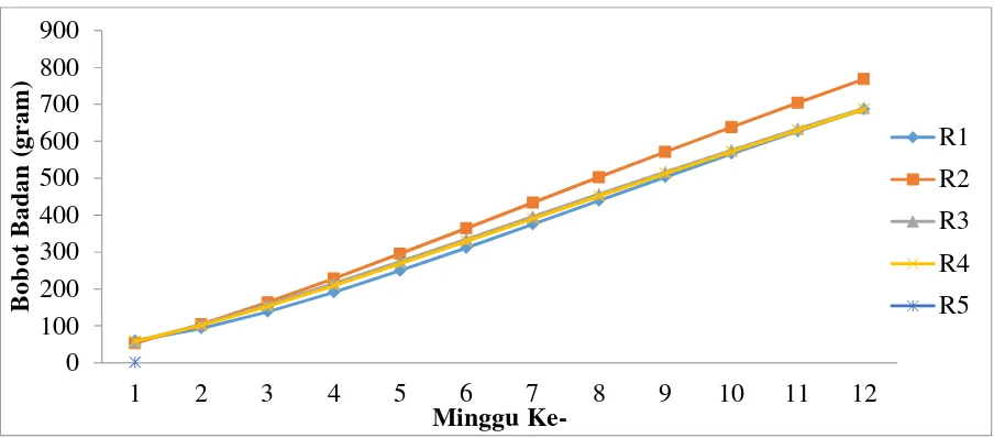 Gambar 1. Kurva pertumbuhan ayam KUB dengan R1-R5 
