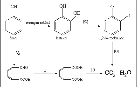 Gambar 1. Mekanisme oksidasi fenol oleh ozon.