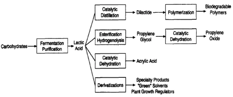 Gambar 2.5. Teknologi dan produk potensial asam laktat (Datta et al, 1995) 