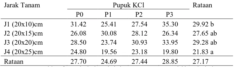 Tabel 1. Ratan tinggi tanaman bawang merah (cm) pada perlakuan jarak tanam               dan  pemberian pupuk KCl pada 6 MSPT 