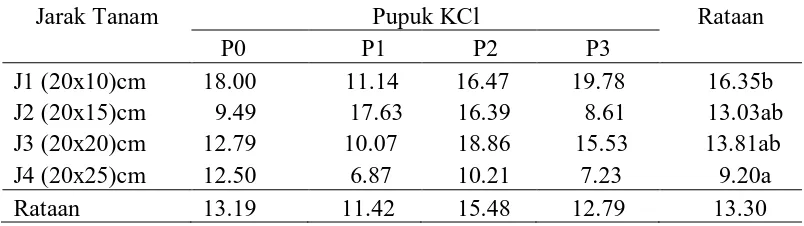 Tabel 3. Rataan bobot basah bawang merah per sampel (g) pada perlakuan jarak tanam dan dosis pupuk KCl  