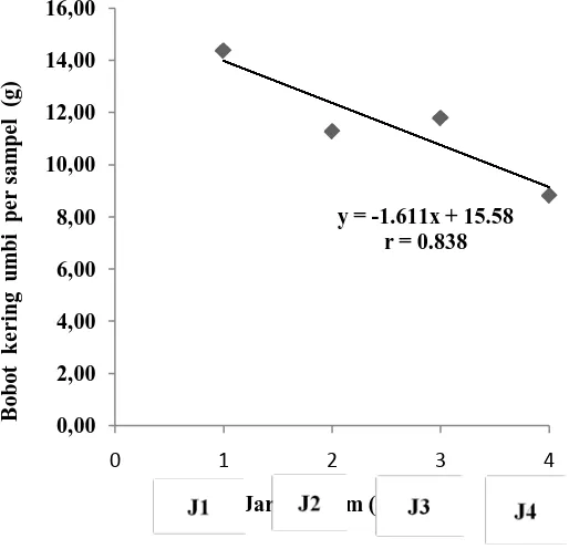 Tabel 4. Rataan bobot kering bawang merah pada perlakuan jarak tanam dan dosis pupuk KCl  