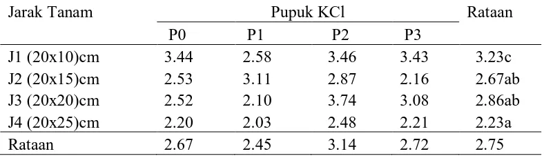 Tabel 5. Rataan diameter umbi bawang merah pada perlakuan jarak tanam dan dosis pupuk KCl  