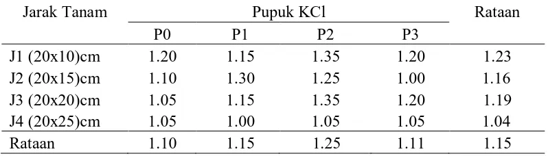 Tabel 6. Rataan jumlah siung bawang merah pada perlakuan jarak tanam dan       dosis   pupuk KCl  