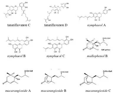 Gambar 1. Struktur senyawa dalam tanaman M. tanarius(Phommart, 2005) dan (Matsunami, 2006)