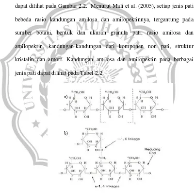 Gambar 2.2. Struktur molekul amilosa dan amilopektin  a) struktur molekul amilosa; b) struktur molekul amilopektin Mali et al