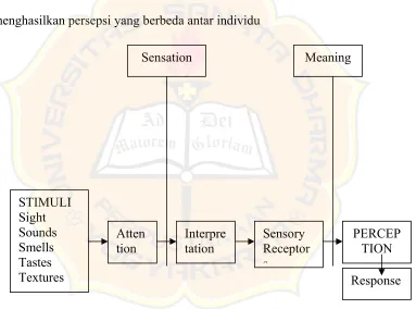 Gambar II.1 Perceptual Process Model 