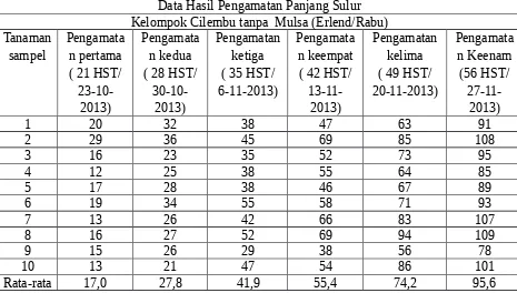 Table 1.1 Panjang Sulur Kelompok Gunung Kawi Tanpa  Mulsa (Dinariari/Rabu)