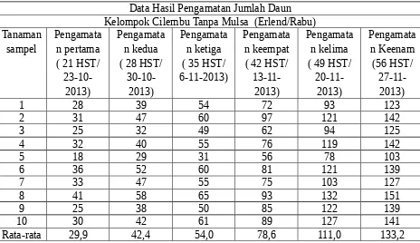 Table 2 Jumlah Daun Kelompok Cilembu Tanpa  Mulsa (Erlend/Rabu)