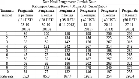 Table 2.2 Jumlah DaunKelompok Gunung Kawi + Mulsa AF (Siska/Rabu)