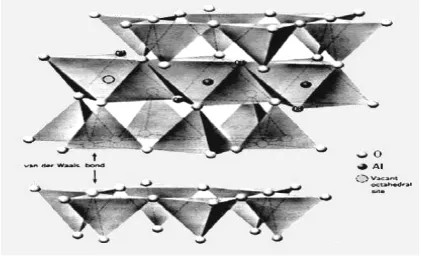 Gambar 2: Struktur mikro bahan (LiBr)0,5(AlOSi)0,5 yang akandianalisa unsur diposisi 001 (atas)