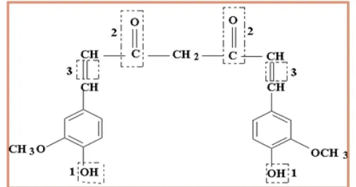 Gambar 2. Struktur senyawa kurkumin (Majeed, 1995) 