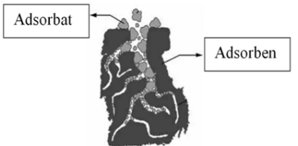 Gambar 4. Struktur selulosa menyerap Pb (  Lestari, 2010)