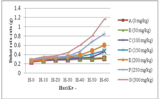 Gambar 1. Grafik rata-rata pertambahan bobot benih ikan peres Osteochillus vittatus selama 60  hari masa penelitian 