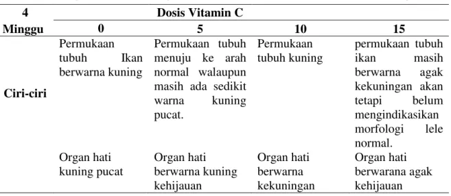 Tabel  1.  Pengamatan  Morfologi  Ikan  Lele  Dumbo  (C.  gariepinus)  kuning