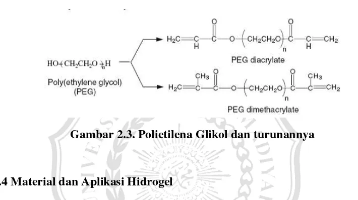 Gambar 2.3. Polietilena Glikol dan turunannya 