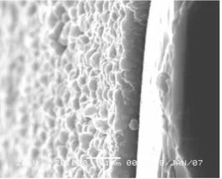 Gambar 5.  Struktur mikro tampang lintang lapisan tipis CdS di atas lapisan CuInSe 2    dengan SEM (perbesaran  20.000 kali).