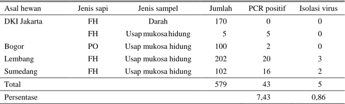 Tabel 1. Hasil deteksi BRVS dengan RT-PCR terhadap sampel darah dan usap mukosa hidung asal sapi  Asal hewan  Jenis sapi  Jenis sampel  Jumlah  PCR positif  Isolasi virus 