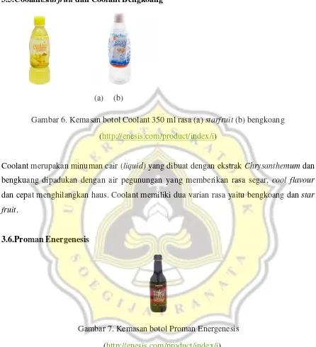 Gambar 6. Kemasan botol Coolant 350 ml rasa (a) starfruit (b) bengkoang 