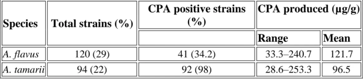 Tabel  2  menunjukkan  kemampuan  Aspergillus  spp  yang  diisolasi  dari  biji  kokoa  untuk  memproduksi  CPA.Sebanyak    214strain  Aspergillusyang  termasuk  seksiFlavijuga  diuji  kemampuannya untuk memproduksi CPA dalam CZ medium