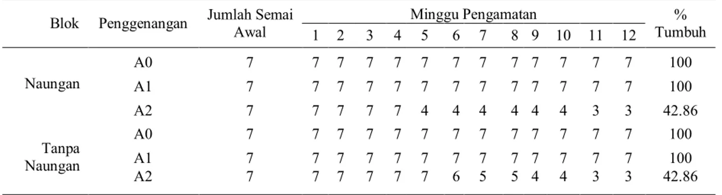 Tabel 7.  Hasil  uji  Duncan  pengaruh  tingkat  peng- peng-genangan terhadap nisbah pucuk akar  Tingkat 