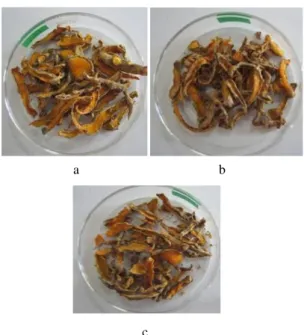 Gambar 3. Hasil Pengeringan simplisia kunyit pada suhu  60 o C selama 16(a), 24(b) dan 48 jam (c)  