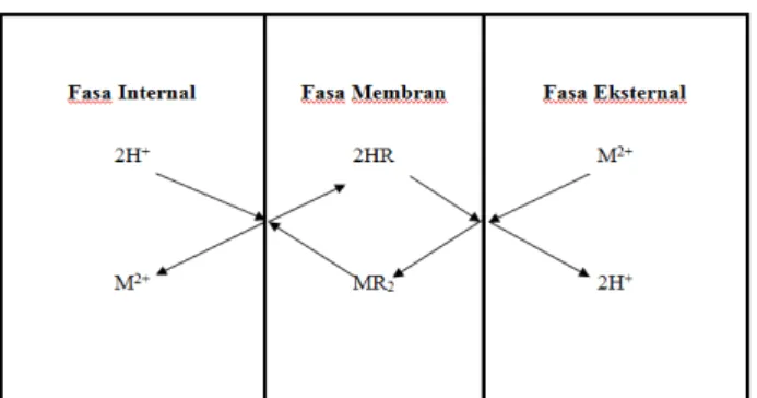 Gambar 1. Mekanisme reaksi transfer massa melalui  difusi dalam fasa membran 