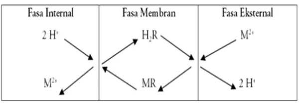 Gambar 1. Mekanisme Transfer Massa melalui  Difusi dengan Reaksi Kimia dalam Fasa 
