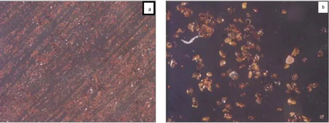 Gambar 4. Hasil foto mikroskop asam humat (a) dan asam humat setelah proses adsorpsi-reduksi (b)
