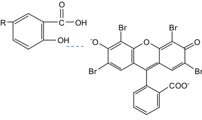 Ilustrasi ikatan yang terjadi antara humin dan eosin ditunjukkan pada Gambar 3 