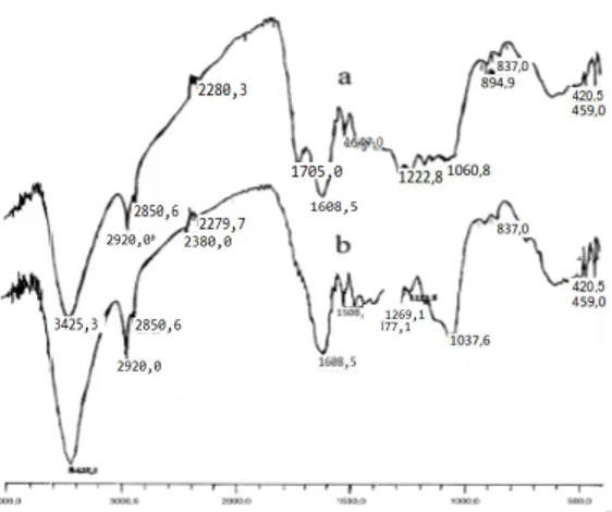 Gambar  1.  Spektra  inframerah  humin  (a)  dengan  pencucian  dan  (b)  tanpa   pencucian HCl/HF