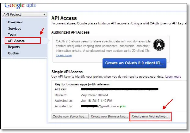 Gambar 1.10. Halaman API Access 