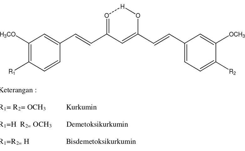 Gambar. I Struktur molekul kurkuminoid (Roughly et al, 1973) 
