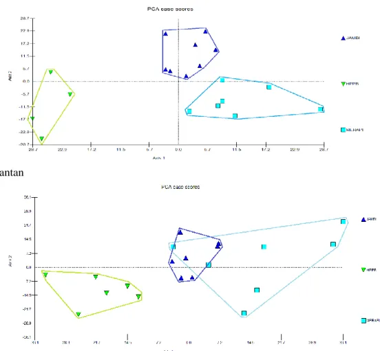 Gambar 3. Plot Principle Component Analysis (PCA) dari seluruh populasi A. longirostra  pada beberapa  daerah berdasarkan karakter tubuh 