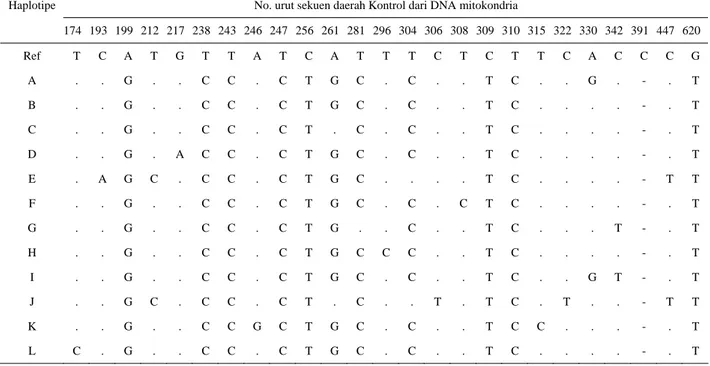 Tabel 1. Polimorfisme nukleotida yang di analisa pada segmen D-loop DNA mitokondria, dan diselaraskan  dengan referensi  GenBank (kode/nomer akses AB098668) pada populasi ayam Lombok 