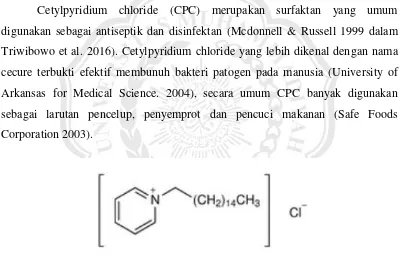 Gambar 2.1. struktur CPC (Er- 2010) 