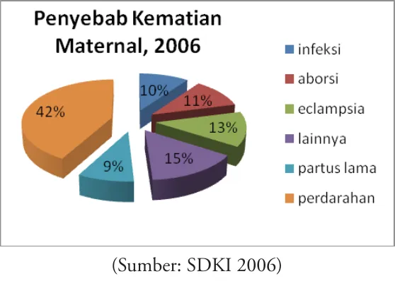 Gambar 1. Penyebab Kematian Maternal, 2006