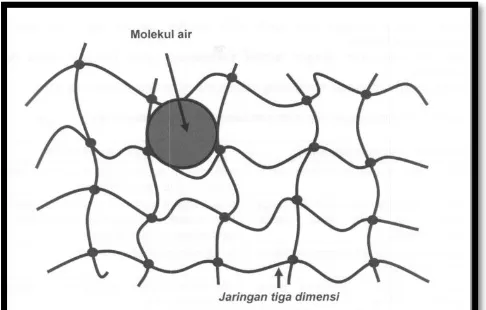 Gambar 2.1 Representasi Skematik Struktur Jejaring 