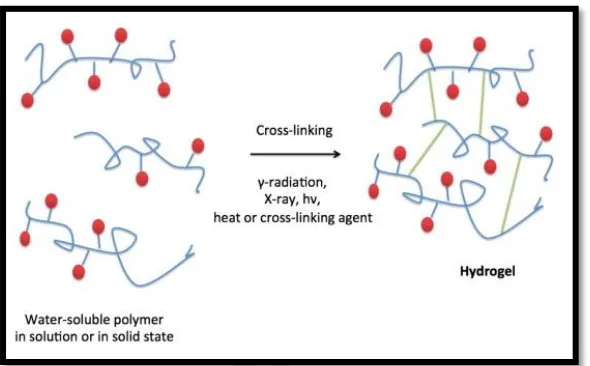 Gambar 2.2 Skema Sintesis Hidrogel Melalui Crosslinking 