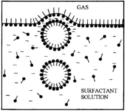 Gambar 2.  Ilustrasi pembentukan lapisan busa saat gelembung udara mencapai permukaan larutan surfaktan (Exerowa, 1998) 