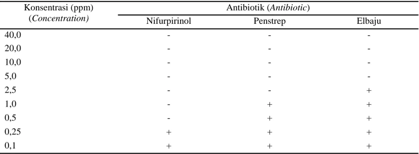 Tabel 3. Uji konsentrasi hambat terendah (MIC) nifurpirinol, penstrep dan elbaju terhadap pertumbuhan Vibrio  alginolyticus (Minimum Inhibitory Concentration (MIC) test nifurpirinol, penstrep and elbaju on the  growth of Vibrio alginolyticus)  