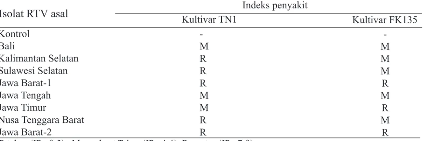 Tabel 5  Respons ketahanan  dua kultivar padi 4 minggu setelah inokulasi dengan 8 isolat  Rice  tungro virus (RTV)