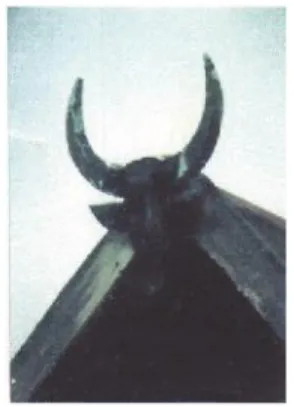 Gambar  115.  Motif  kepala  kerbau  yang  terdapat pada bubungan rumah Bugis. (Foto :Pangeran  Pai-ta, Sidrap 2011)