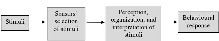 Figure 2.1 The Perceptual Process by Altman, Valenzi, and Hodgetts