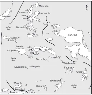 Figure 4.1—The Moluccas (Maluku and North Maluku)