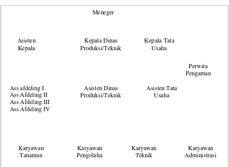 Gambar 3. Struktur Perusahaan Perkebunan Sidamanik. 