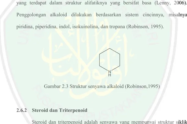 Gambar 2.3 Struktur senyawa alkaloid (Robinson,1995) 