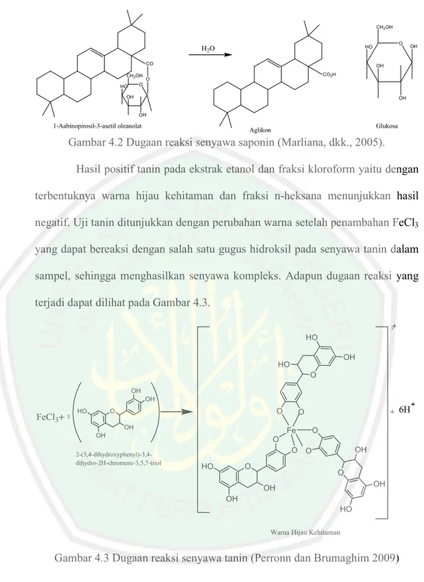 Gambar 4.2 Dugaan reaksi senyawa saponin (Marliana, dkk., 2005). 