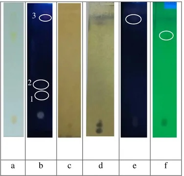 Gambar 5.Profil KLT ekstrak etanol spirulina fase gerak etilasetat : n-heksan (7:3). Tampak visual sebelum  disemprot(a), sesudah penambahan reagen semprot sitoborat pada 366 nm(b), FeCl 3  sinar tampak(c), Vanilin-asam 